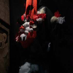 Bluza Manifest miłości - Lara Kość